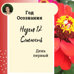 Смелость. Год осознания. Неделя 12. 