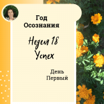 Успех. Год осознания. Неделя 18. 