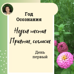 Год осознания. Неделя 6. Приятие - согласие.