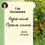 Год осознания. Неделя 6. 