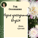 Год осознания. Неделя 11. 