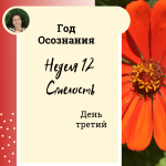  Год осознания. Неделя 12. 