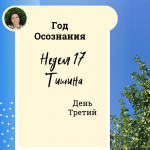  Год осознания. Неделя 17.