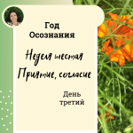 Год осознания. Неделя 6. Год осознания. Неделя 6. Приятие - согласие.