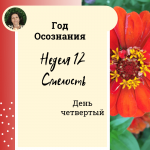  Год осознания. Неделя 12. 