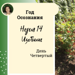  Год осознания. Неделя 14. 