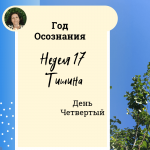 Тишина. Год осознания. Неделя 17.