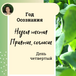 Год осознания. Неделя 6. Приятие - согласие.