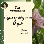 Год осознания. Неделя 11. 