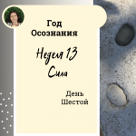 Неделя 13. Сила.