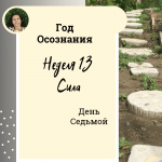 Сила. Год осознания. Неделя 13. 