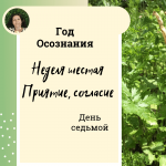 Год осознания. Неделя 6. Приятие - согласие.