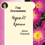 Красота. Год осознания. Неделя 20.