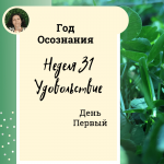 Удовольствие.  Неделя 31.