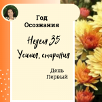 Усилия (старание). Год осознания. Неделя 35.