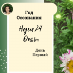 Опыт. Год осознания. Неделя 24.