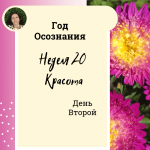  Год осознания. Неделя 20.