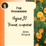 Год осознания. Неделя 35.