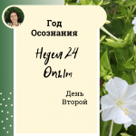 Год осознания. Неделя 24.