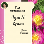  Год осознания. Неделя 20.