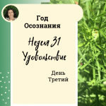  Неделя 31.