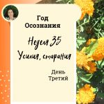  Год осознания. Неделя 35.