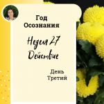  Год осознания. Неделя 27.