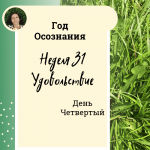 Удовольствие.  Неделя 31.