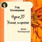 Усилия (старание). Год осознания. Неделя 35.