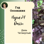 Год осознания. Неделя 24.