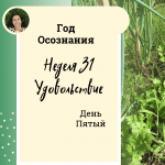 Уметь доставлять удовольствие Неделя 31.