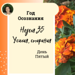 Год осознания. Неделя 35.