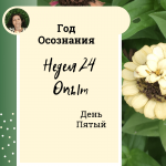 Опыт. Год осознания. Неделя 24.