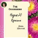 Год осознания. Неделя 20