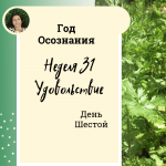 Неделя 31.