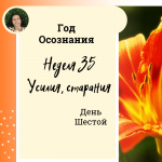  Год осознания. Неделя 35.