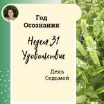 Уметь доставлять удовольствие Год осознания. Неделя 31.