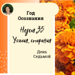 Усилия (старание). Год осознания. Неделя 35.