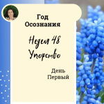 Упорство. Год осознания. Неделя 48.