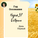 Доброта. Год осознания. Неделя 37