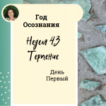 Терпение. Год осознания. Неделя 43.