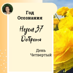 Доброта. Год осознания. Неделя 37