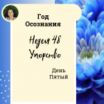 Год осознания. Неделя 48.