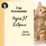 Год осознания. Неделя 37