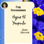  Год осознания. Неделя 48.