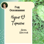 Год осознания. Неделя 43.