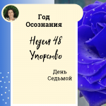 Упорство. Год осознания. Неделя 48.