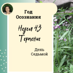 Терпение. Год осознания. Неделя 43.